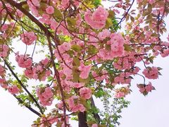 -西北湖绿化广场