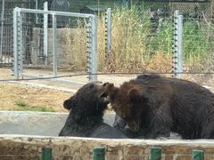 -秦皇岛野生动物园
