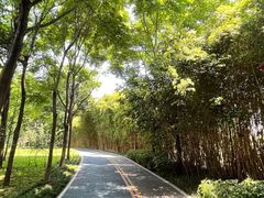 -眉山湿地公园(东坡区)