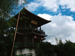 -大唐贡茶院
