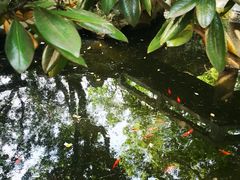 -复旦大学附属华山医院(总院)