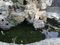 -呼吸森林·生态农庄农家乐私房菜