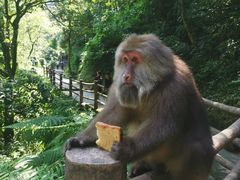 -峨眉山风景名胜区