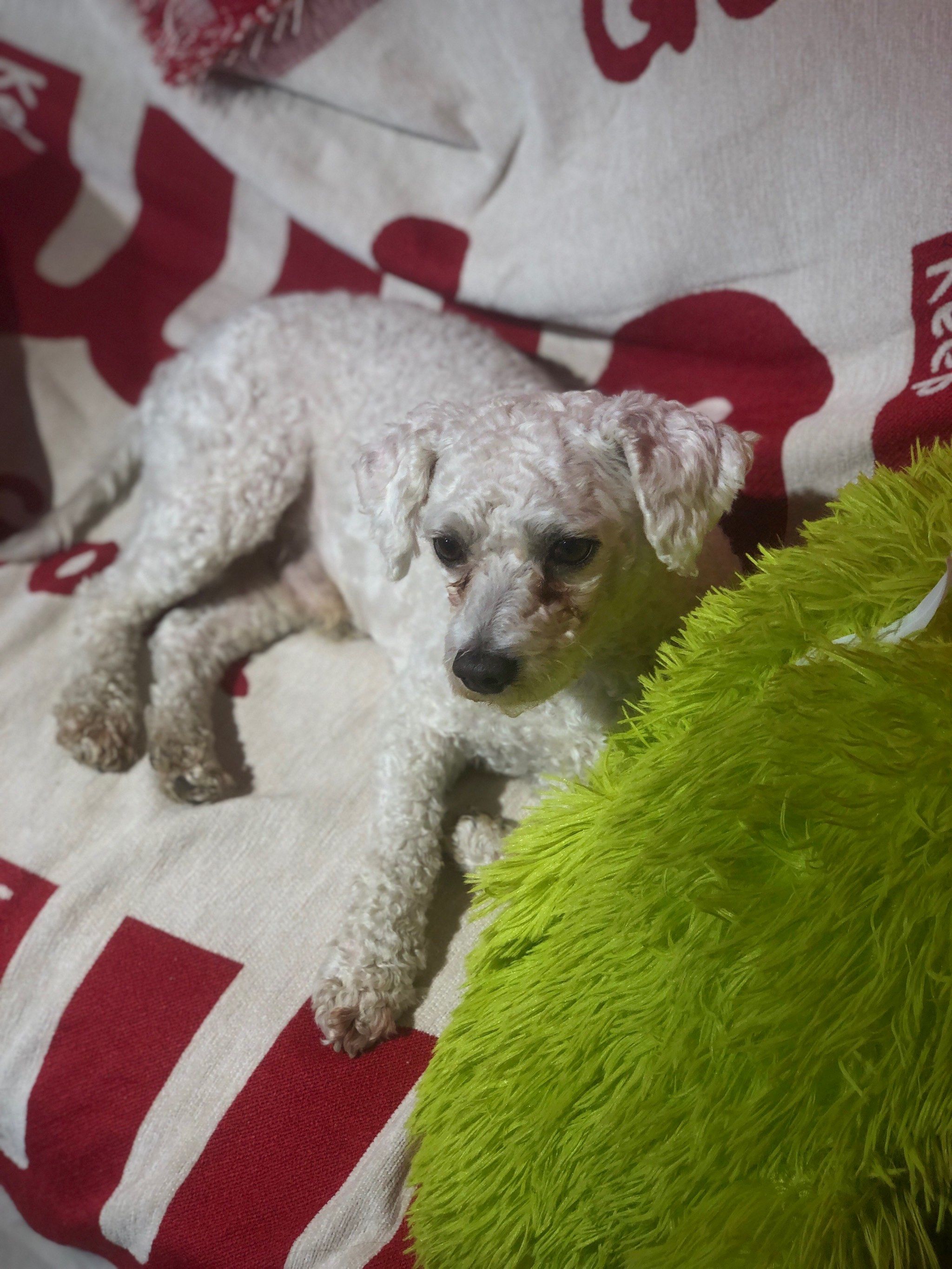 禁止打骂老板,长得好看的也不行[调皮]