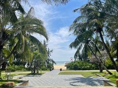 -海南清水湾莱佛士酒店