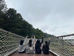 -铁山坪森林公园