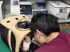 -瑞派申生动物医院·24H夜诊·国际动物医疗中心·骨外科(吴中路店)
