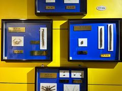 -上海昆虫博物馆