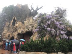 -大槐树寻根祭祖园