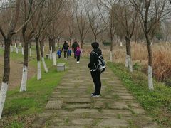 -长兴太湖图影湿地文化园