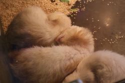 -未来动物城主题公园(正弘城店)