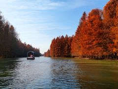 -上海海湾国家森林公园