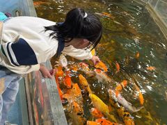 -上海大自然野生昆虫馆(东方明珠·爬宠昆虫探索中心)