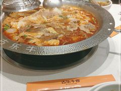 -古乐牛香鲜牛肉牛杂火锅(观前街店)