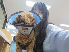 -联合动物医院(光谷诊疗中心)
