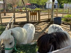 -水上乐园·欢乐世界