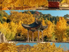 -遵化市禅林寺古银杏风景园