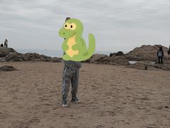 -老虎石海上公园