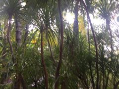-三亚海棠湾南田温泉神龙谷