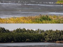 -南沙十九涌渔人码头-南门