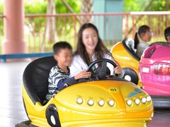 -世界恐龙谷景区