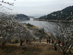 -广州市流溪河国家森林公园