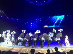 -珠海横琴长隆《卡卡虎奇遇记》