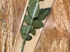 -惠州金海湾嘉华度假酒店