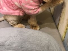 -小时光咖啡馆(开森度假森林店)