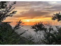 -张关合渣(航空大道店)