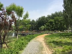 -东郊湿地公园
