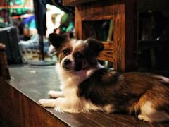 -飘香酒馆·私房菜