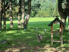 -福建鲤鱼洲酒店