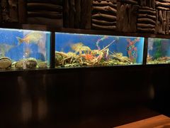 水产区-炉匠炉端烧·酒(国金中心商场店)
