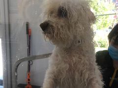 -宠颐生动物医院·心脏科·保险定点(锦阳分院)