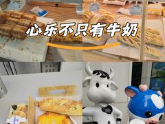 -心乐生活新鲜屋(星海广场店)