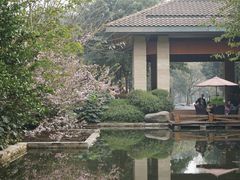 -保利石象湖景区