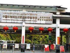 -傣泐金湾餐厅