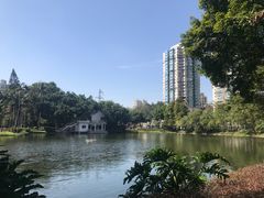 -晓港公园