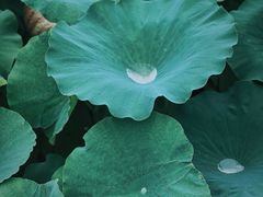 -梁鸿国家湿地公园