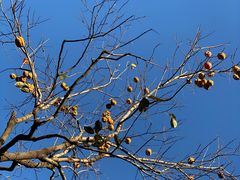 -野鸭湖国家湿地公园