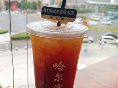 -楠火锅(哈尔滨金爵万象店)