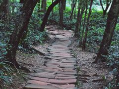 -青城山