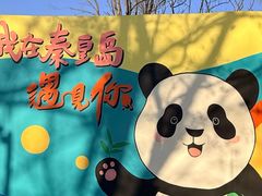 -秦皇岛野生动物园