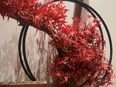 -水濑·日料放题(天河店)