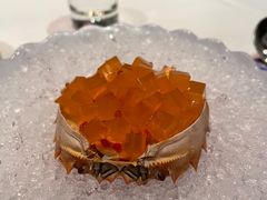 香橙柚子爱玉冻-福1015(愚园路店)