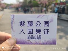 -嘉定紫藤园