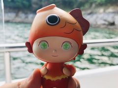 -千岛湖东南湖区