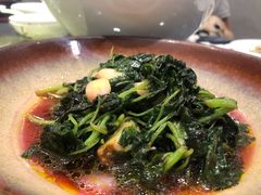 清炒苋菜-庆余楼·用心与食材·特色菜&灶头面(仙蠡墩店)
