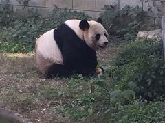 -南昌动物园